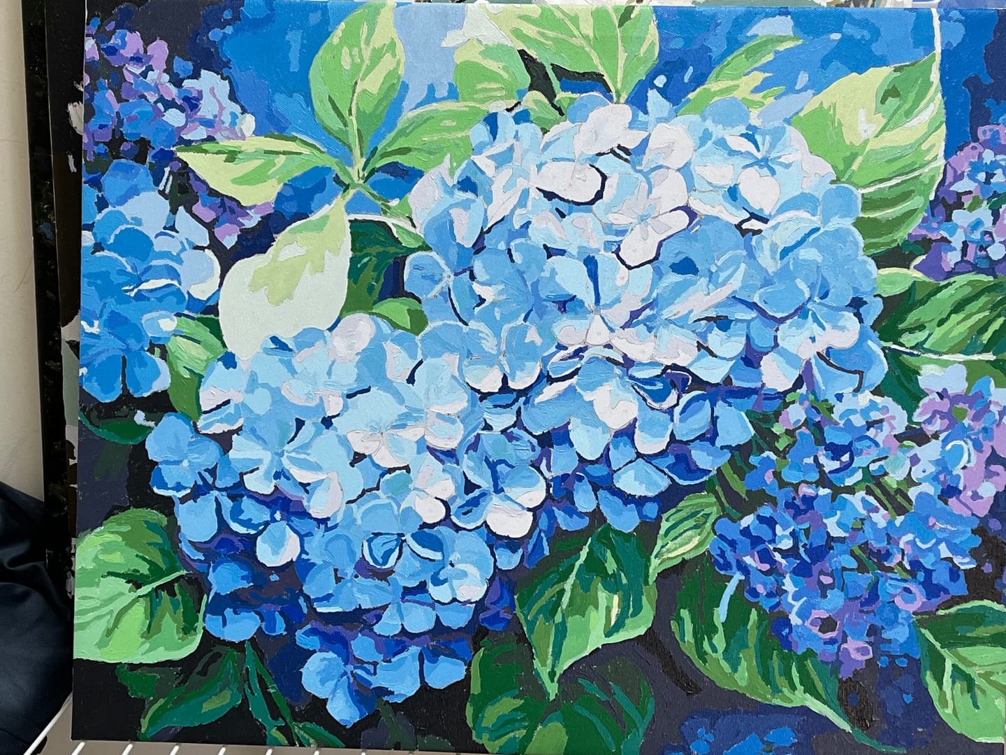 Customer photo review of Blue Hydrangea