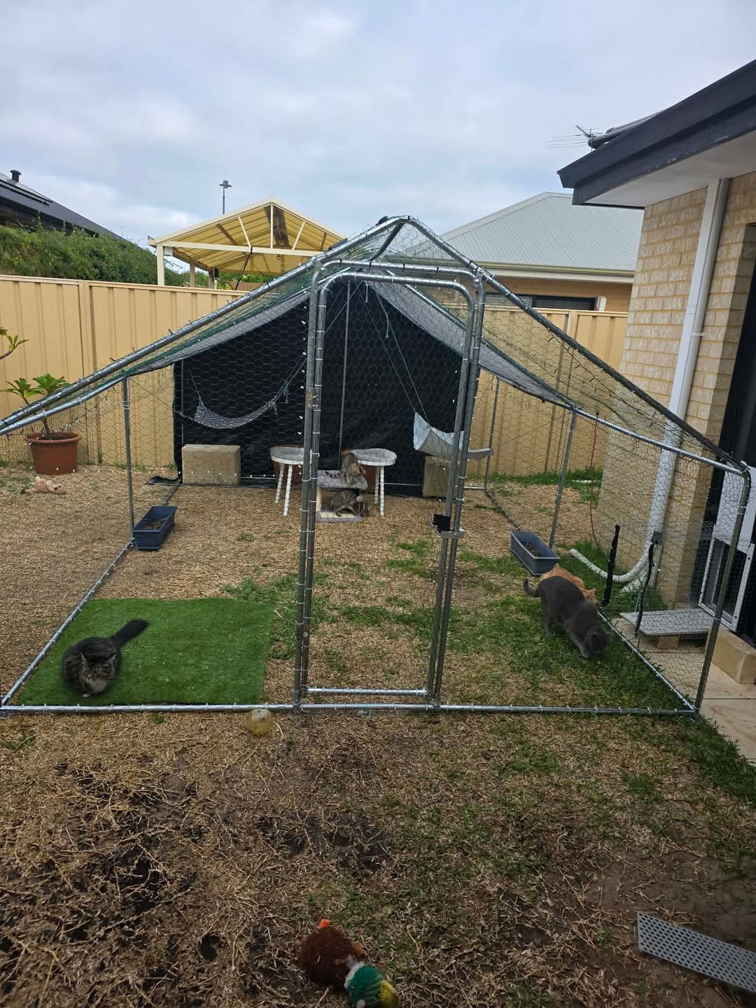 Customer photo review of Outdoor Catios & Patios