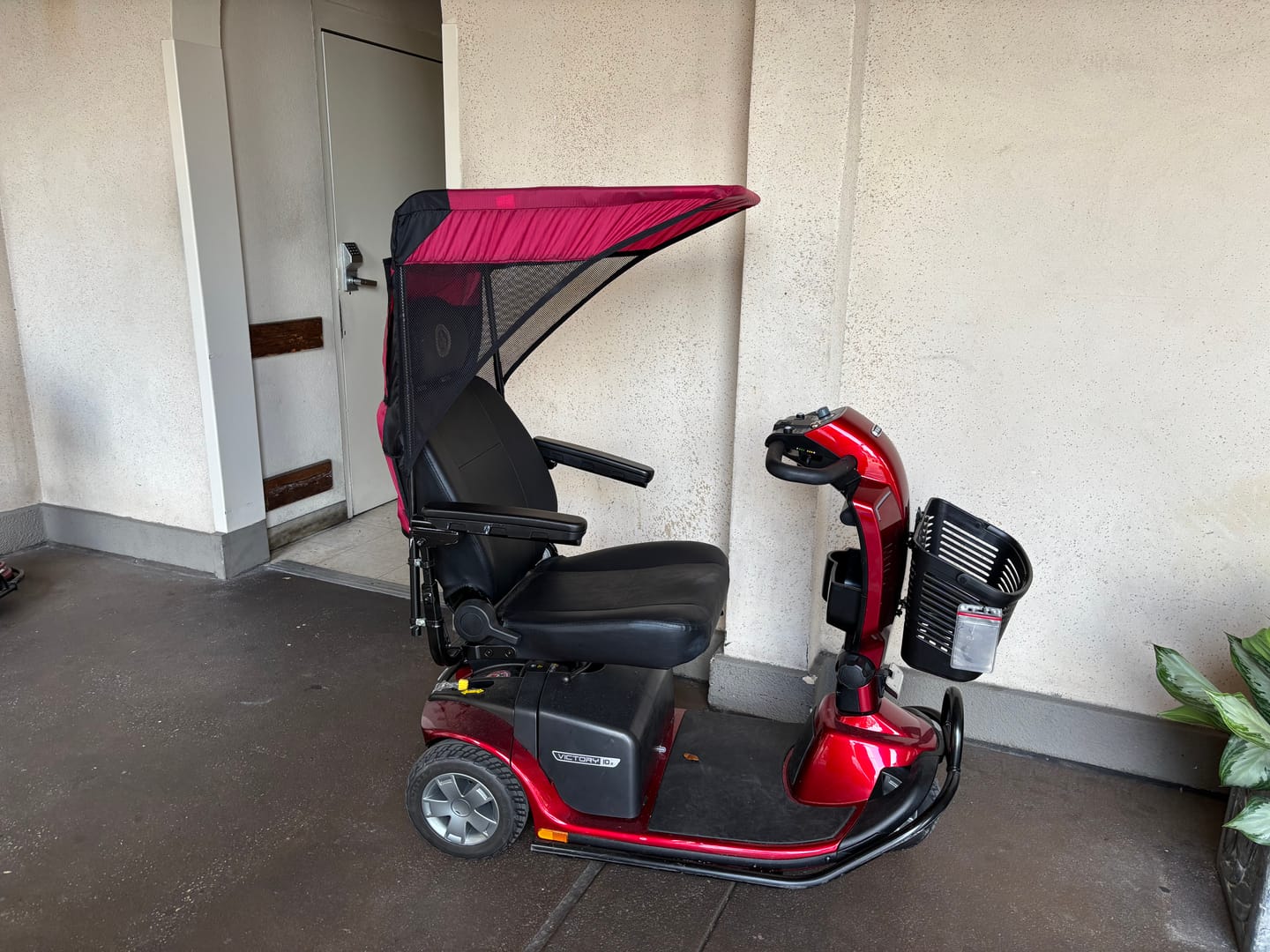 Customer photo review of Premium Scooter With Sunshade (3 Wheel)