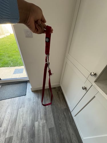 Customer photo review of Training Double Ended Dog Lead | 2m Length - Burgundy