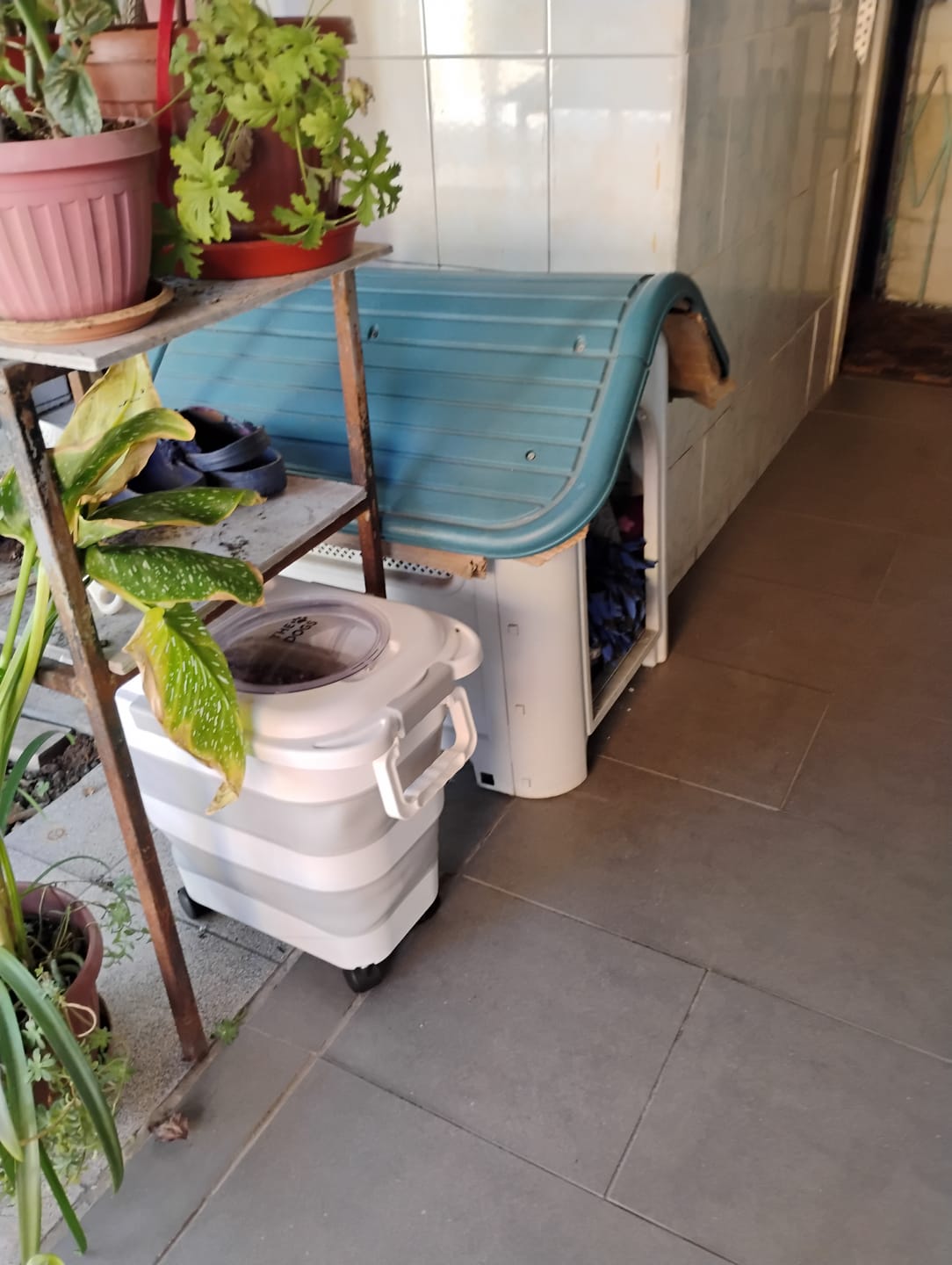 Customer photo review of Contenedor Hermético THE DOGS — Alimento fresco y sin olores