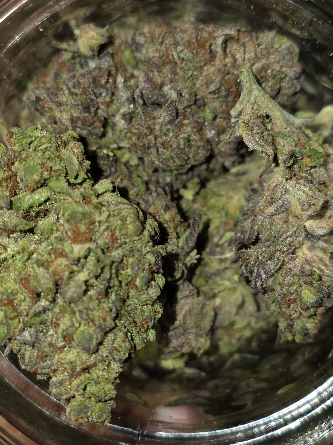 Customer photo review of Biscotti 33 - Bulk - Indica