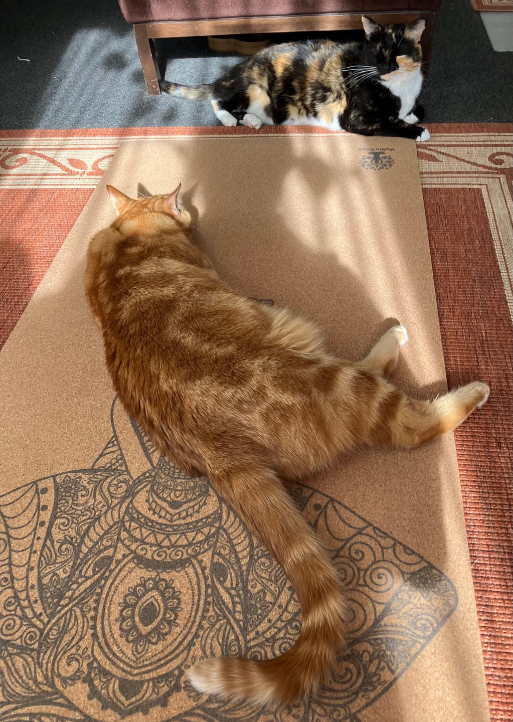 Customer photo review of Elephant Yoga Mat