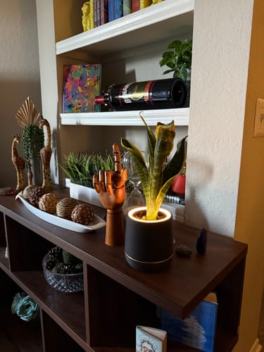 Customer photo review of Blume Light Touch