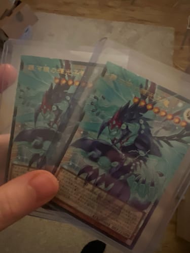 Customer photo review of Yu-Gi-Oh! Limit Over Collection: The Rivals LOCR Display Japanisch