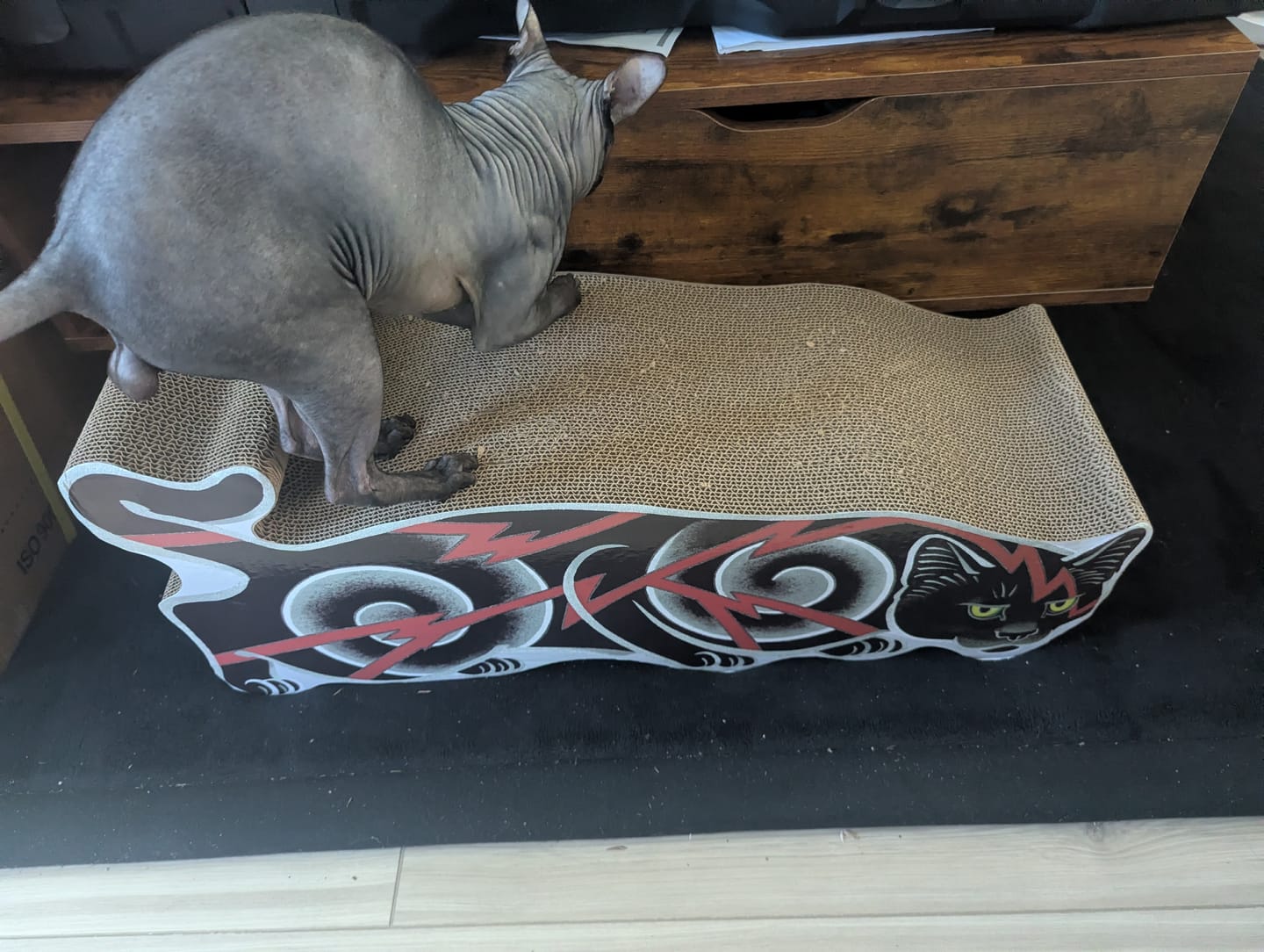 Customer photo review of Electric Cat Scratcher