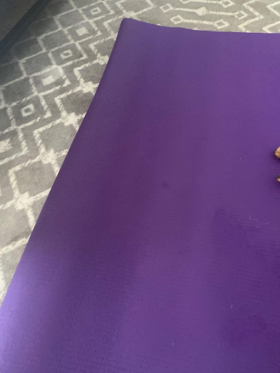 Customer photo review of GXMMAT Large Exercise Mat 6'x4'
