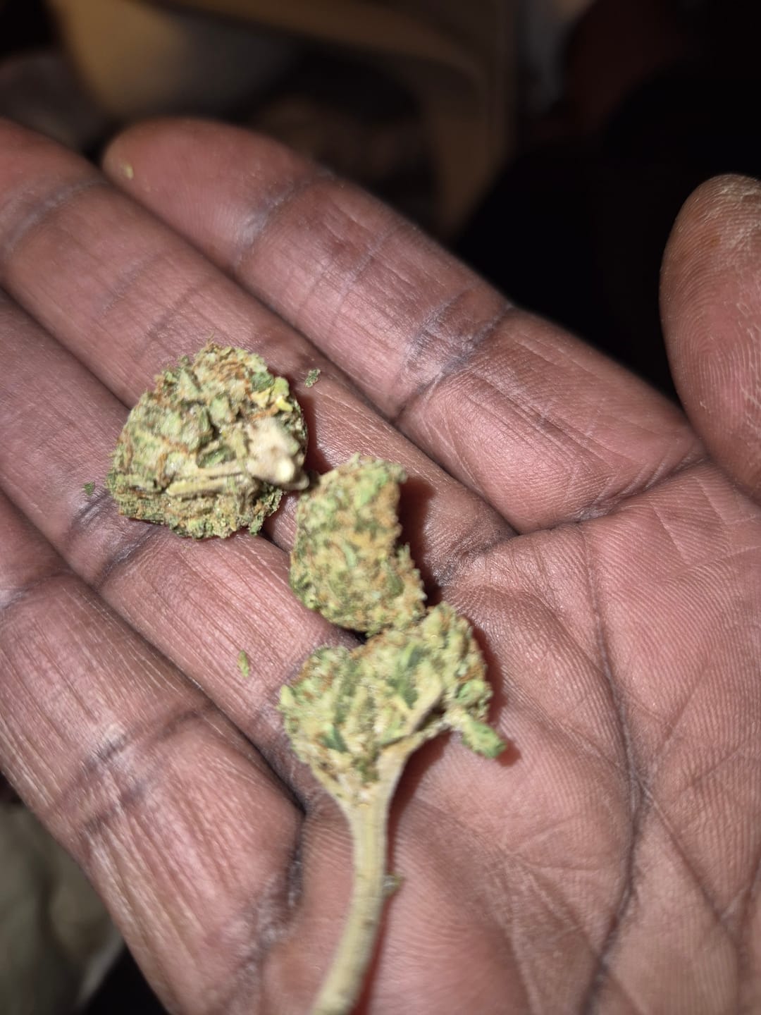 Customer photo review of Purple Kush - 28 Grams - Indica