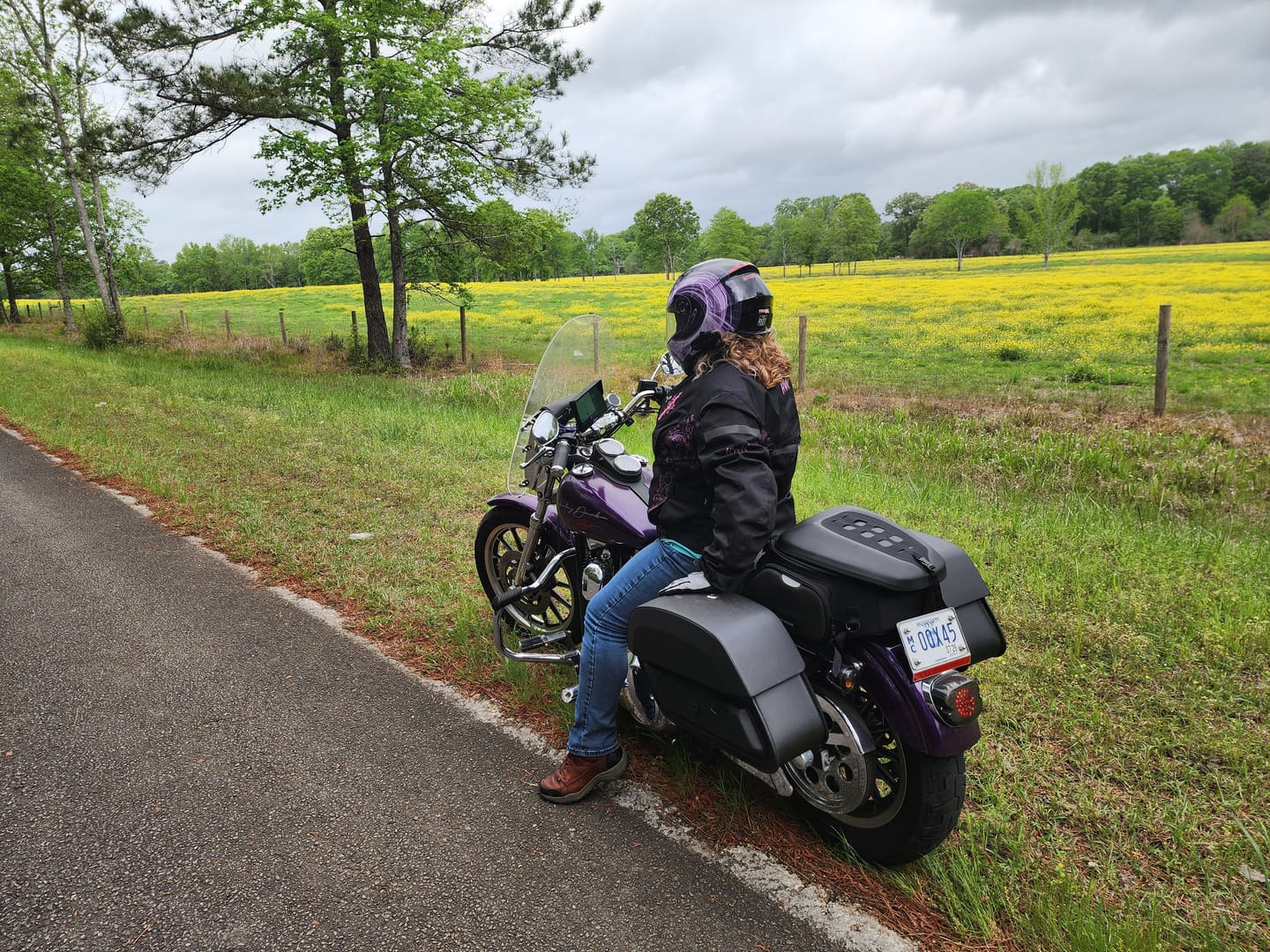 Customer photo review of 41L - Momentum Extra Large Street/Sportbike Tail Bag