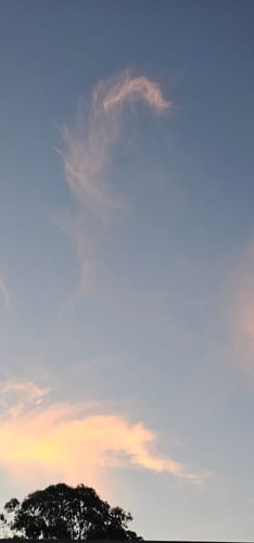 Customer photo review of Digital Photo Frame