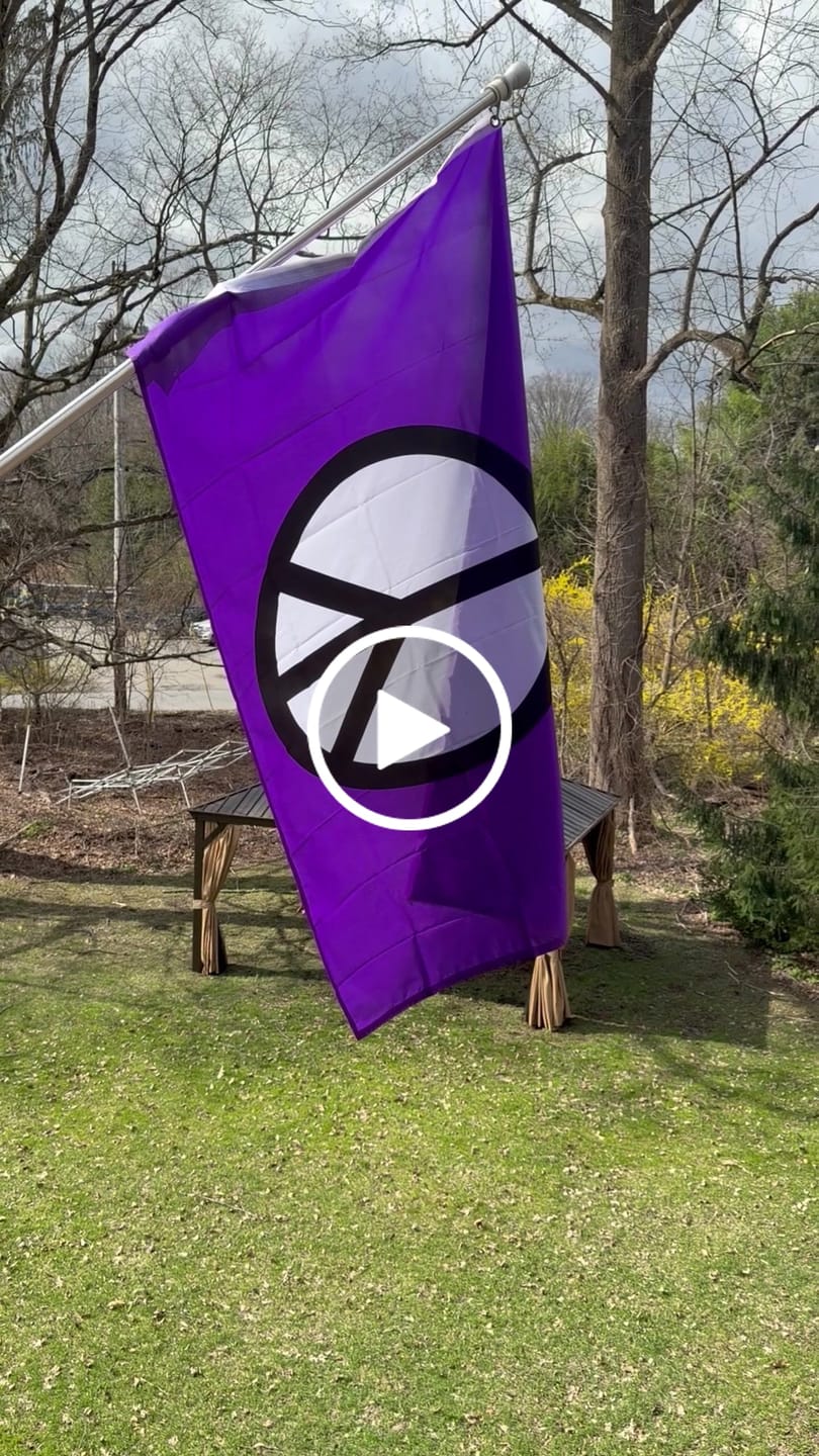 Customer video review of Purple Peace Flag