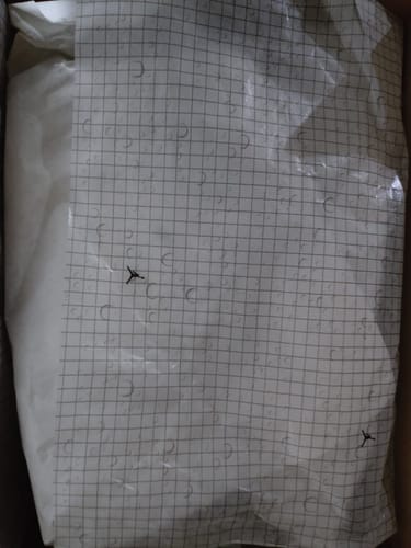 Customer photo review of Jordan 1 Low Element Gore-tex Phantom