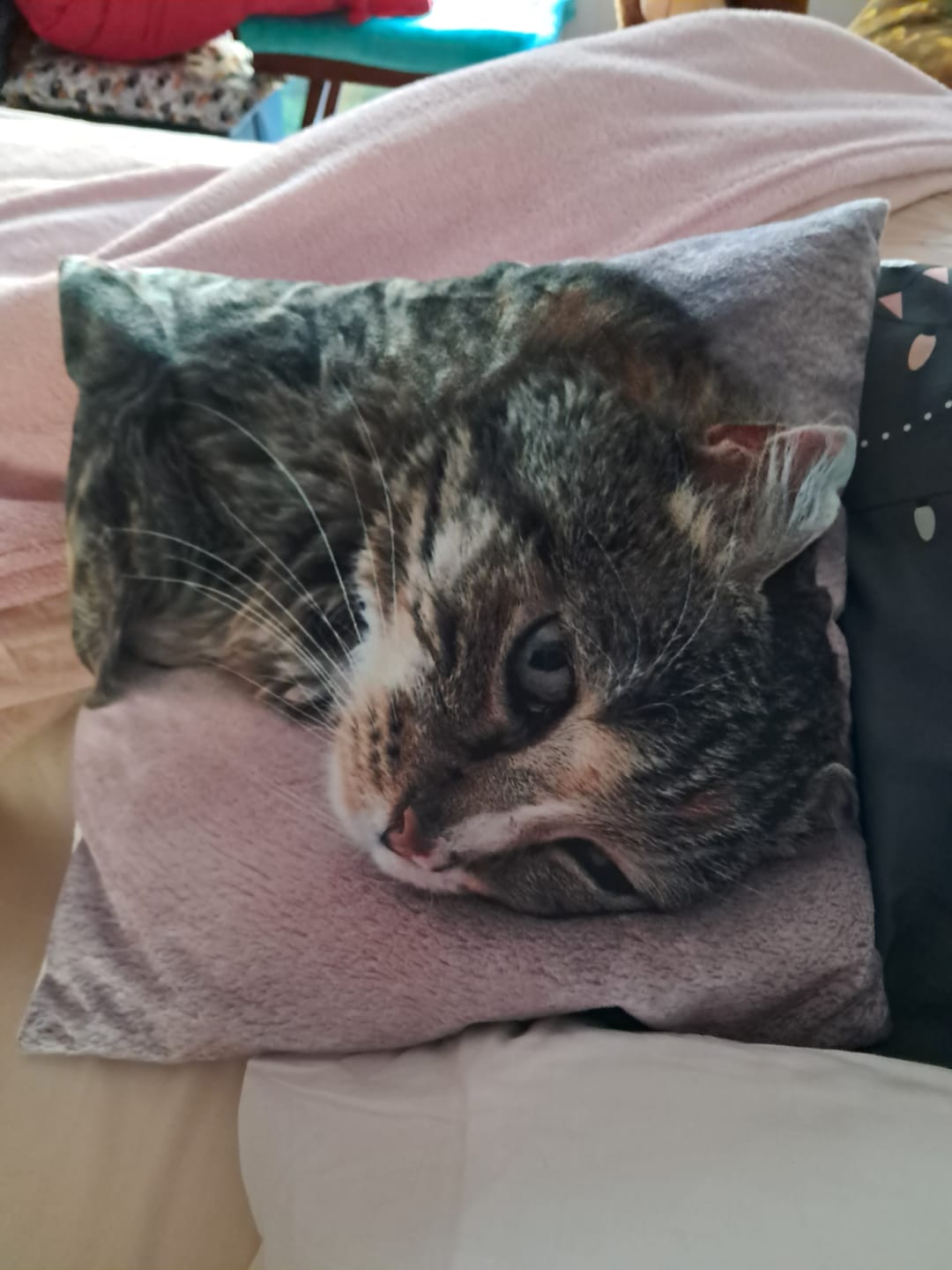 Customer photo review of Avec photo - Coussin personnalisé
