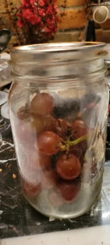 Customer photo review of Electric Mason Jar Vacuum Sealer Kit