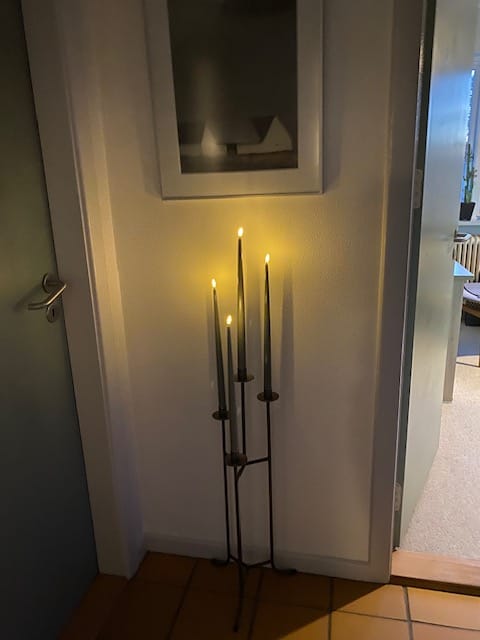 Customer photo review of Fjernbetjening