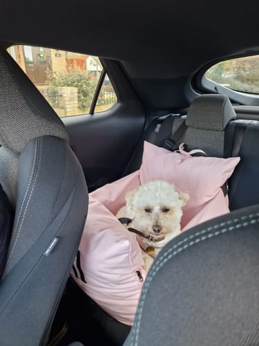 Customer photo review of The Dog Dock V2 New & Improved with ISO Fix