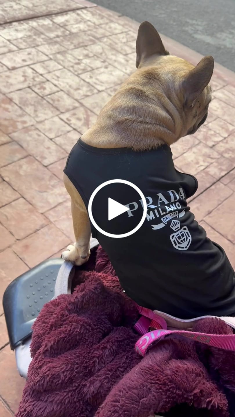 Customer video review of Summer Prina Sweet Sweater