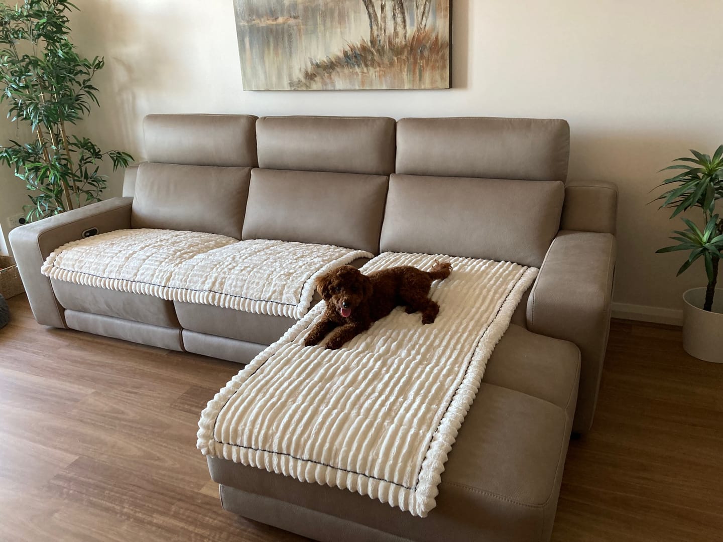 Customer photo review of LuxeLounge™ Couch Cover - Premium Protection Dogs Love