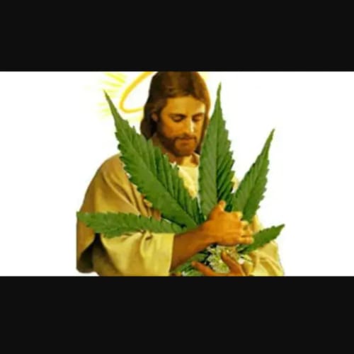 Customer photo review of White Gelato - Bulk - Indica