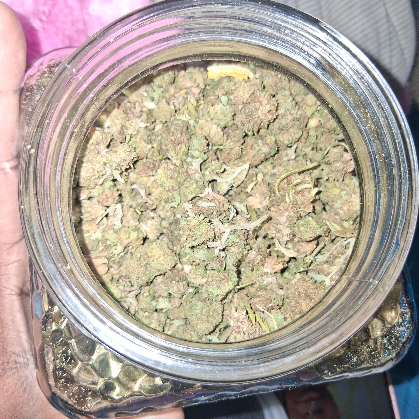 Customer photo review of Butterscotch OG - Bulk - Indica