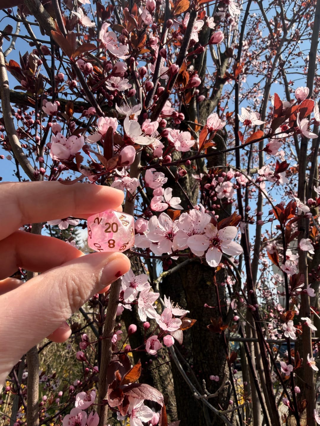 Customer photo review of Fairytale