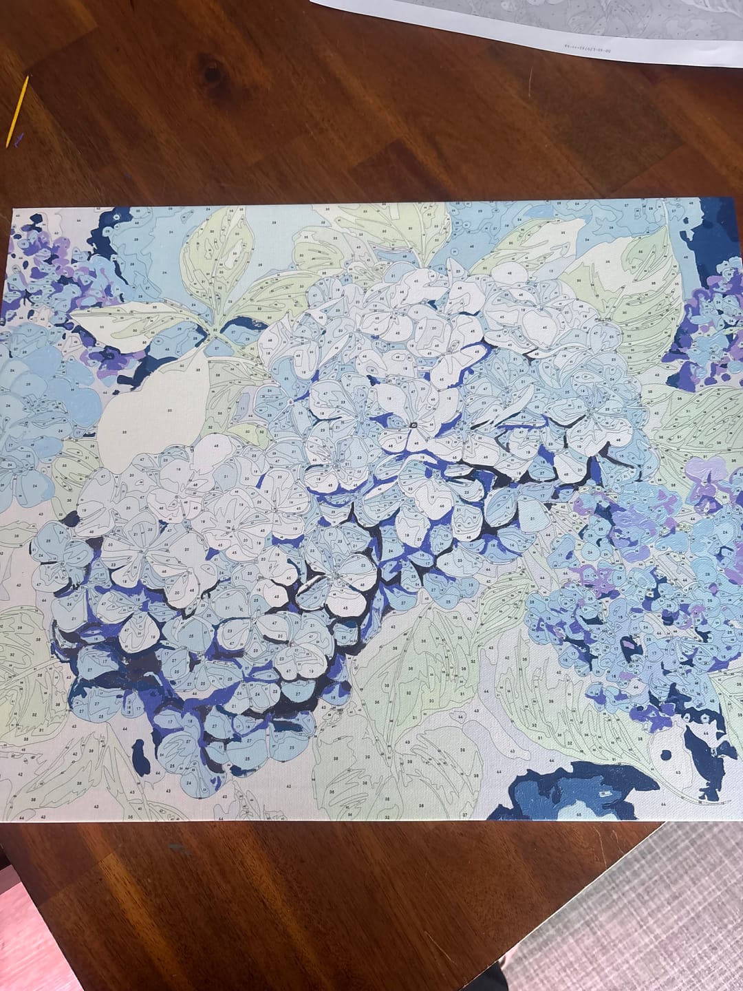 Customer photo review of Blue Hydrangea