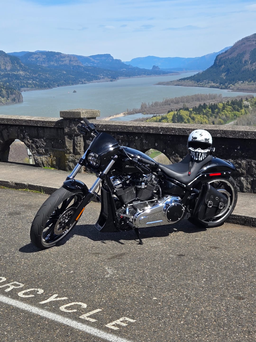 Customer photo review of 3L - Vintage Motorcycle Swingarm Bag for Harley Softail