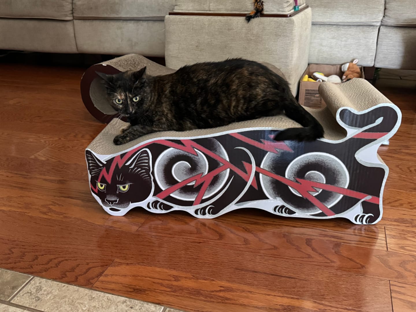 Customer photo review of Electric Cat Scratcher