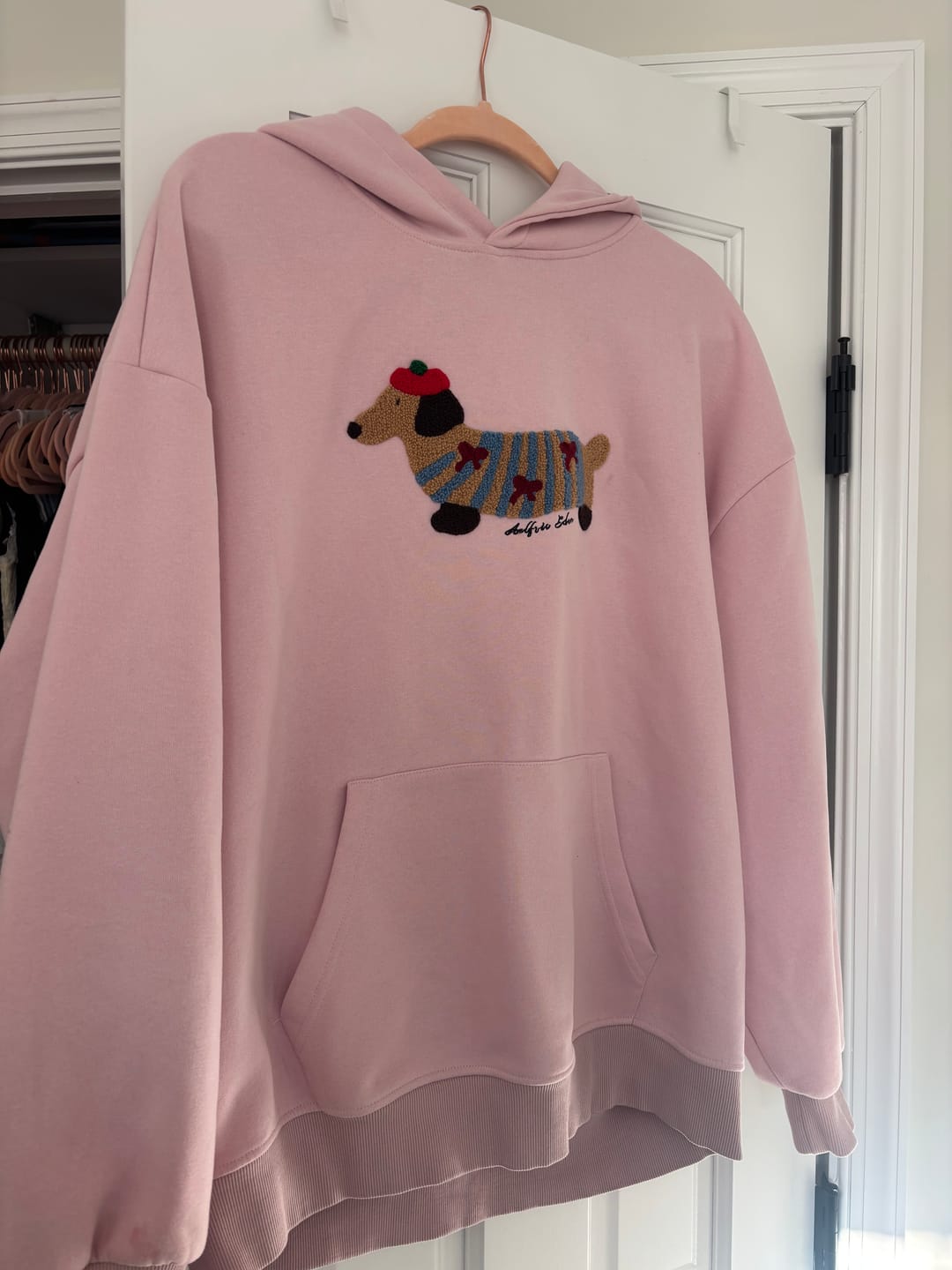 Customer photo review of Aelfric Eden Cartoon Dachshund Hoodie