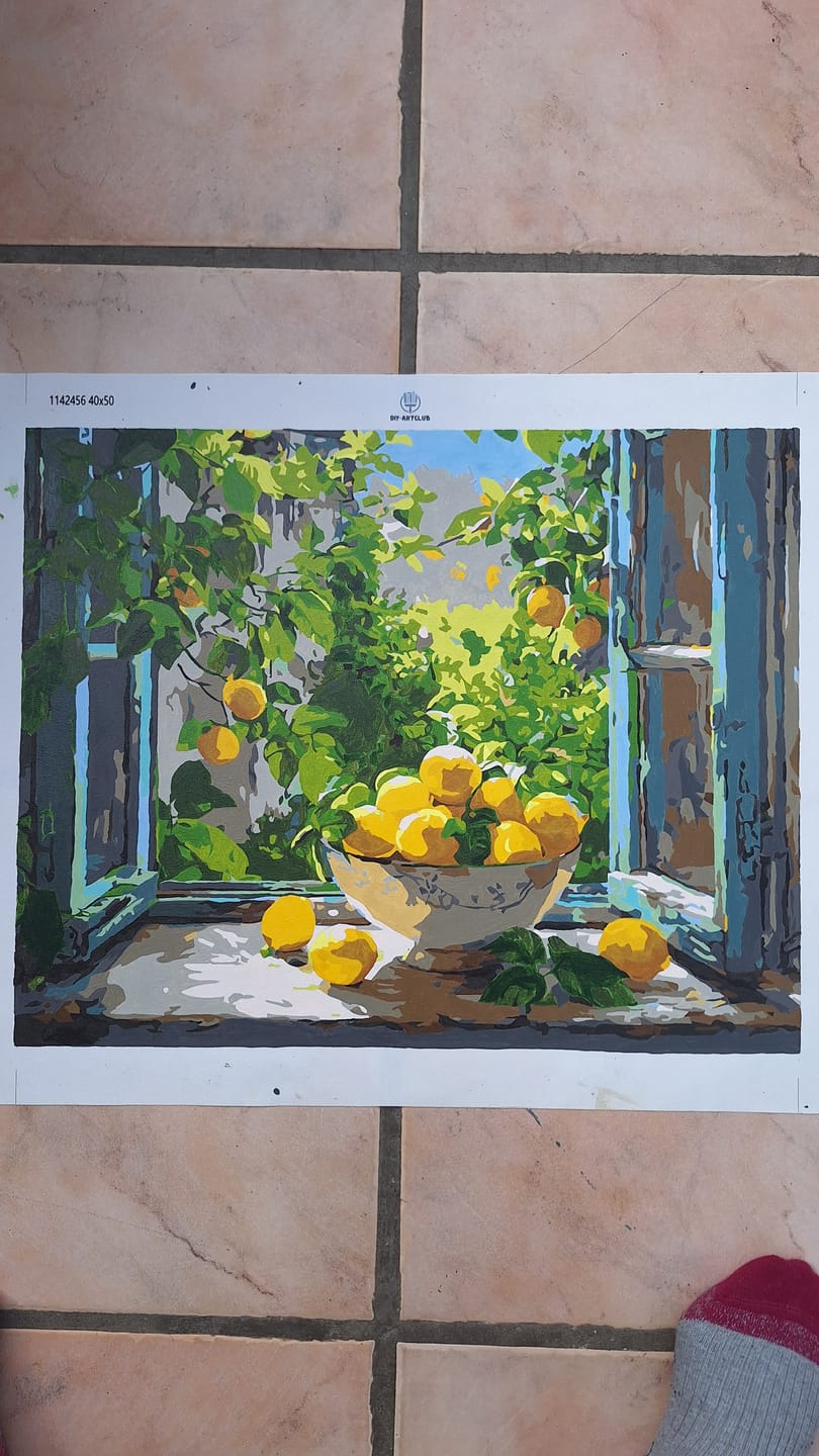 Customer photo review of Lemon Bowl at the Window | Paint by Number