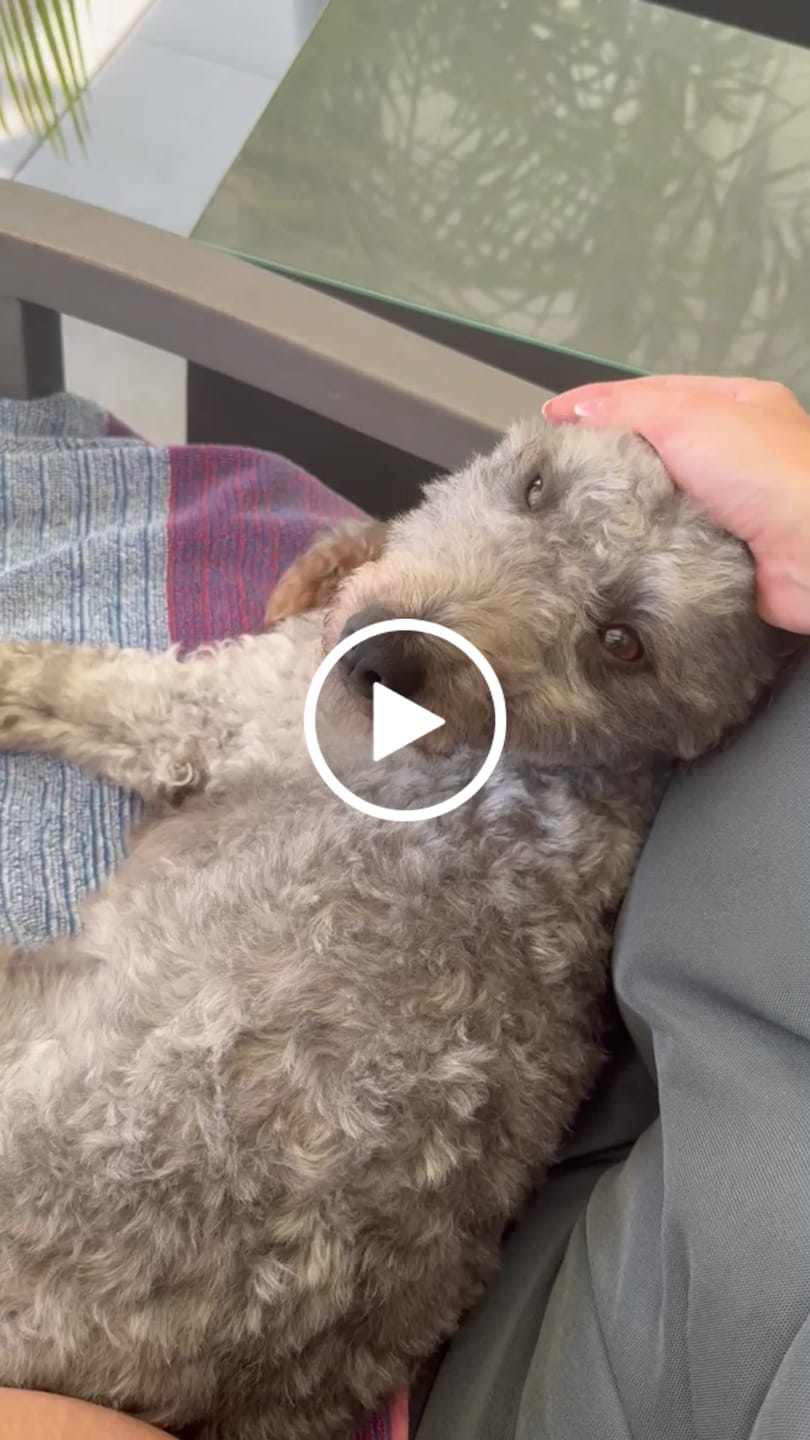 Customer video review of Wurmtest Basic Hund