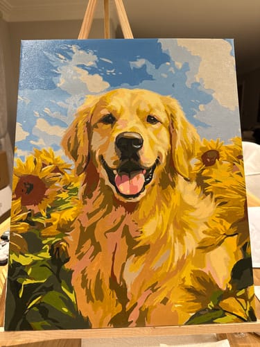 Customer photo review of Sunflower Retriever