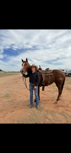 Customer photo review of OptiWize Collagen +Plus Horse Joint Supplement