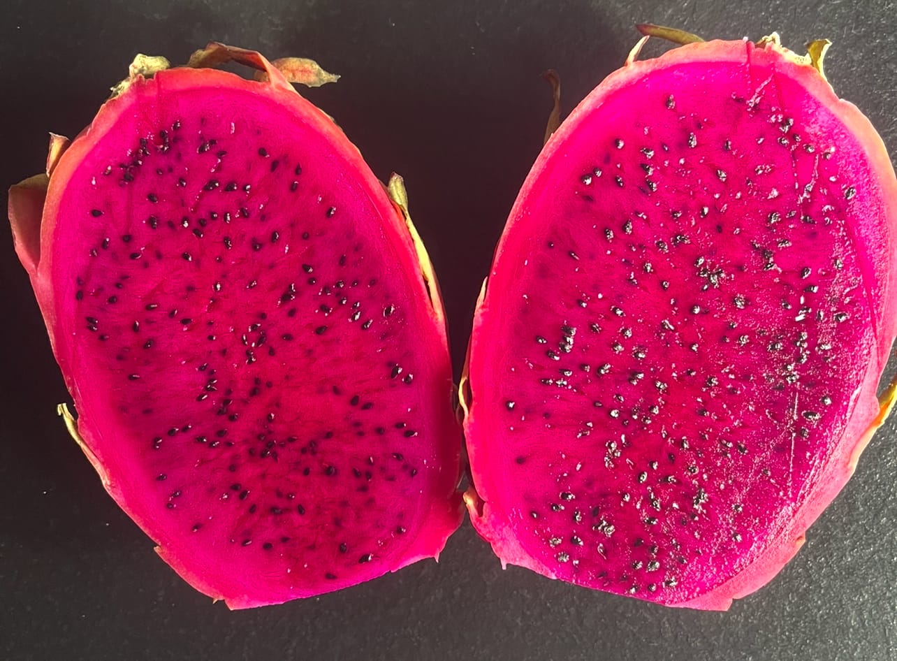 Customer photo review of Drachenfrucht rot von Julian Aktionswoche