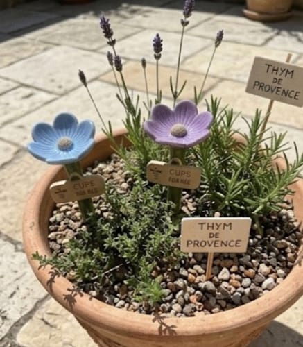 Customer photo review of La Pause des Abeilles®