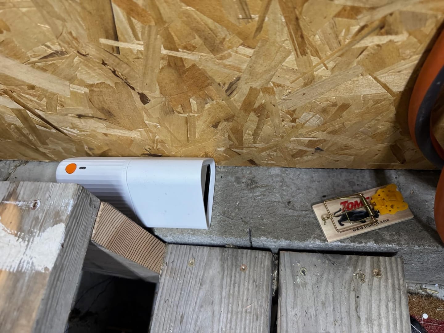 Customer photo review of Mouse Trap