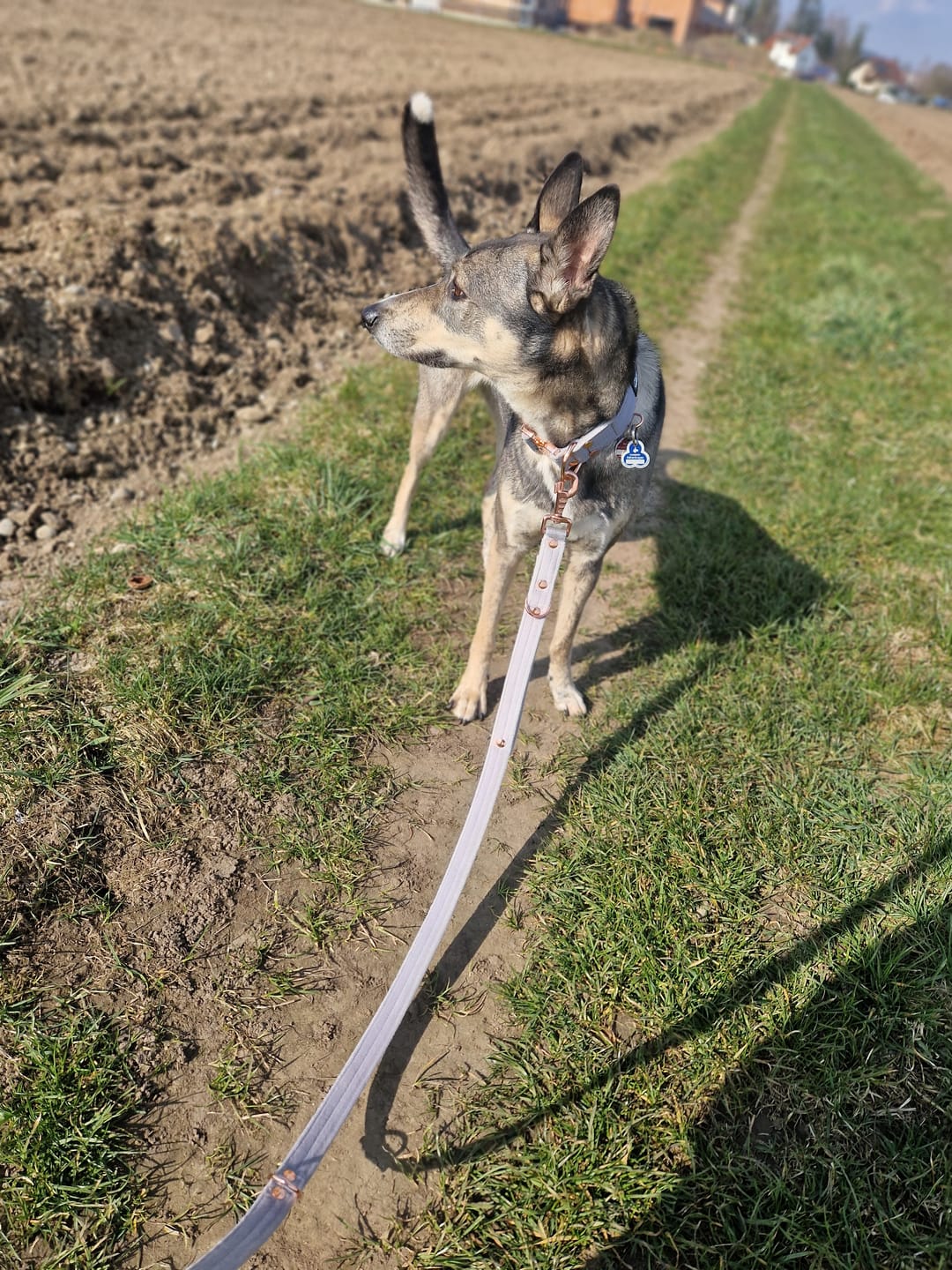 Customer photo review of Multi Guard Leash Rose Edition Grått - Multi-väktarkoppel