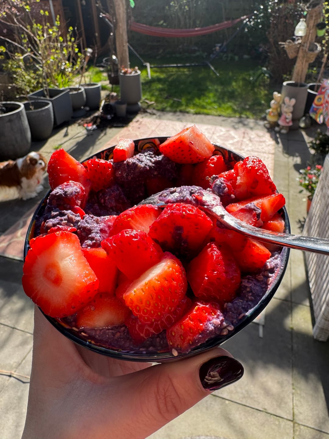 Customer photo review of Smoothie Bowl Lente Proefpakket