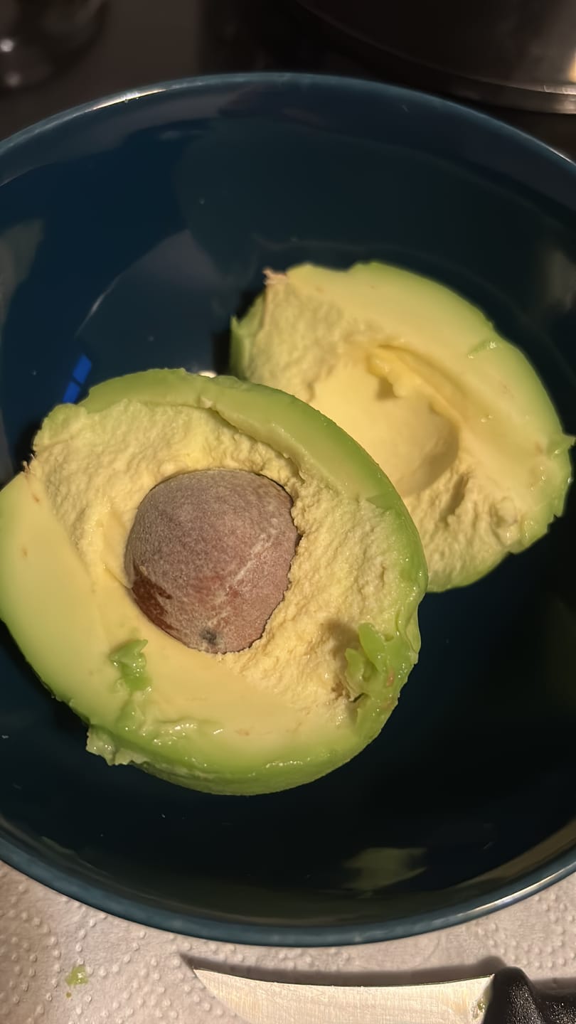Customer photo review of Avocado Hass & Reed 13 Monate baumgereift von Julian