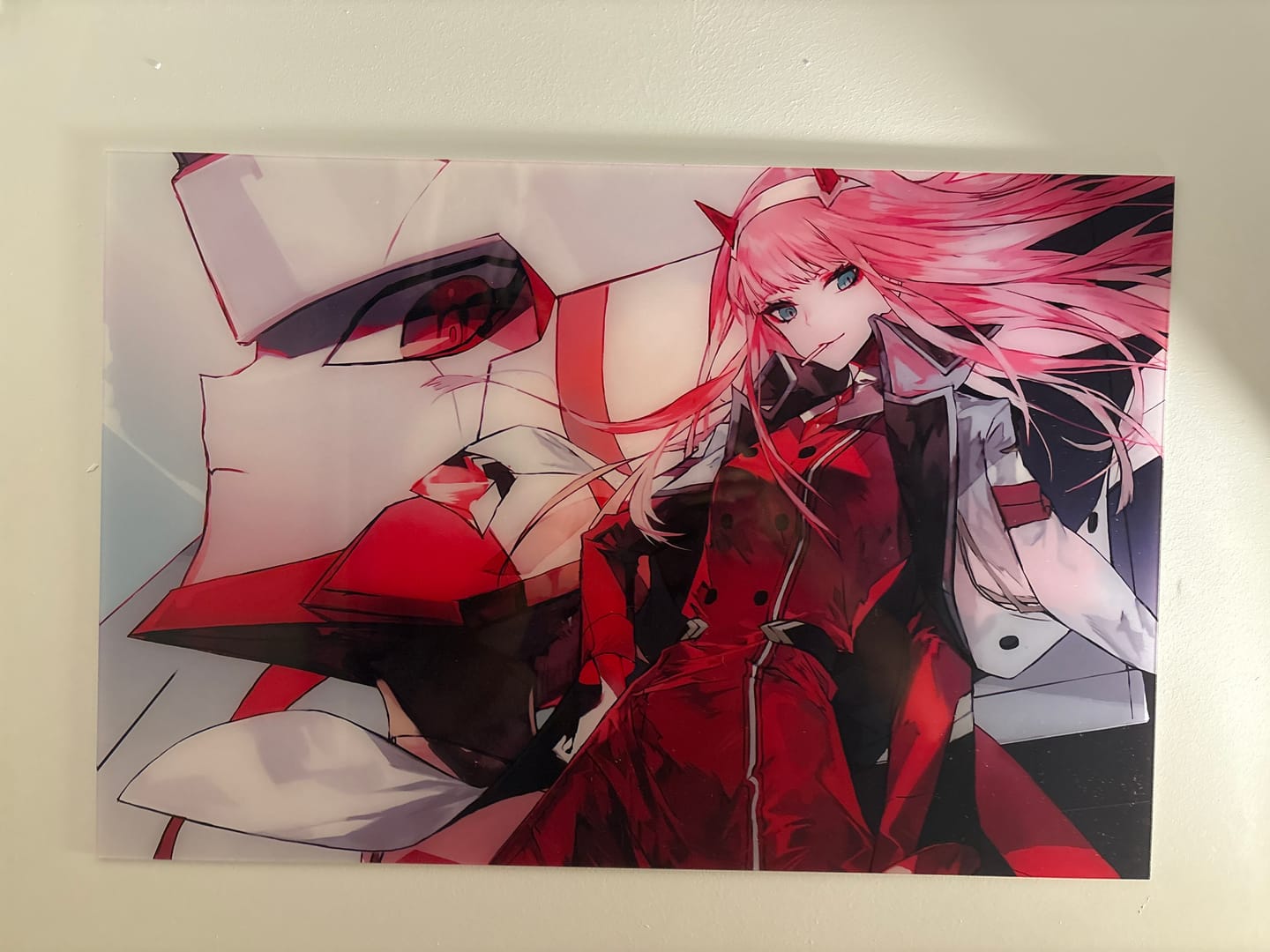 Customer photo review of Custom Design Plexi Glass Wall Art Horizontal (Large - 24" X 16")