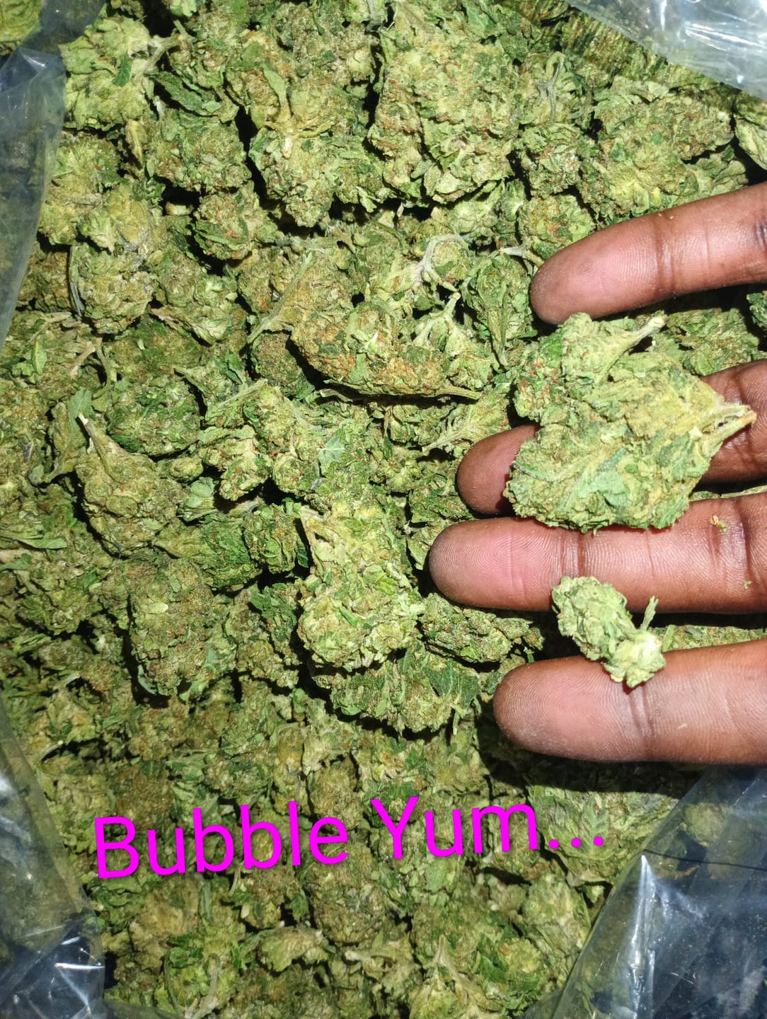 Customer photo review of Bubble Yum - Bulk- Hybrid