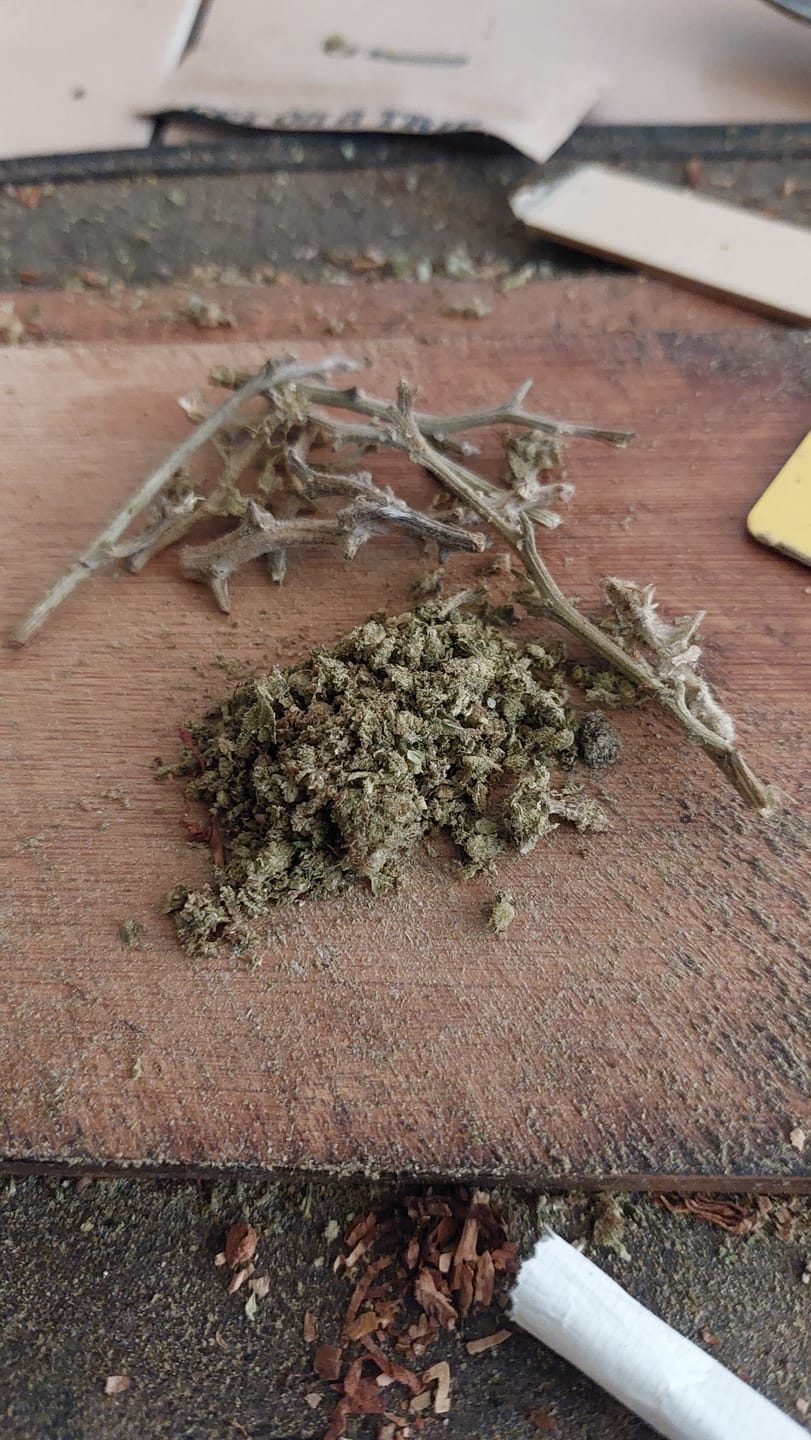 Customer photo review of 🍉 Melon Kush - POWER LVL: 4/5