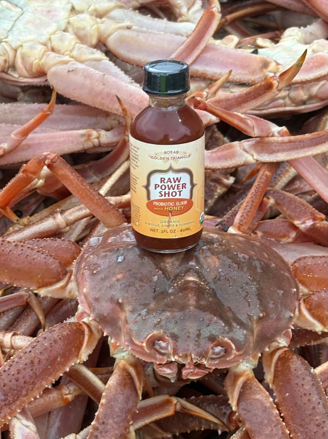 Customer photo review of Raw Organic Fermented Hibiscus Concentrate