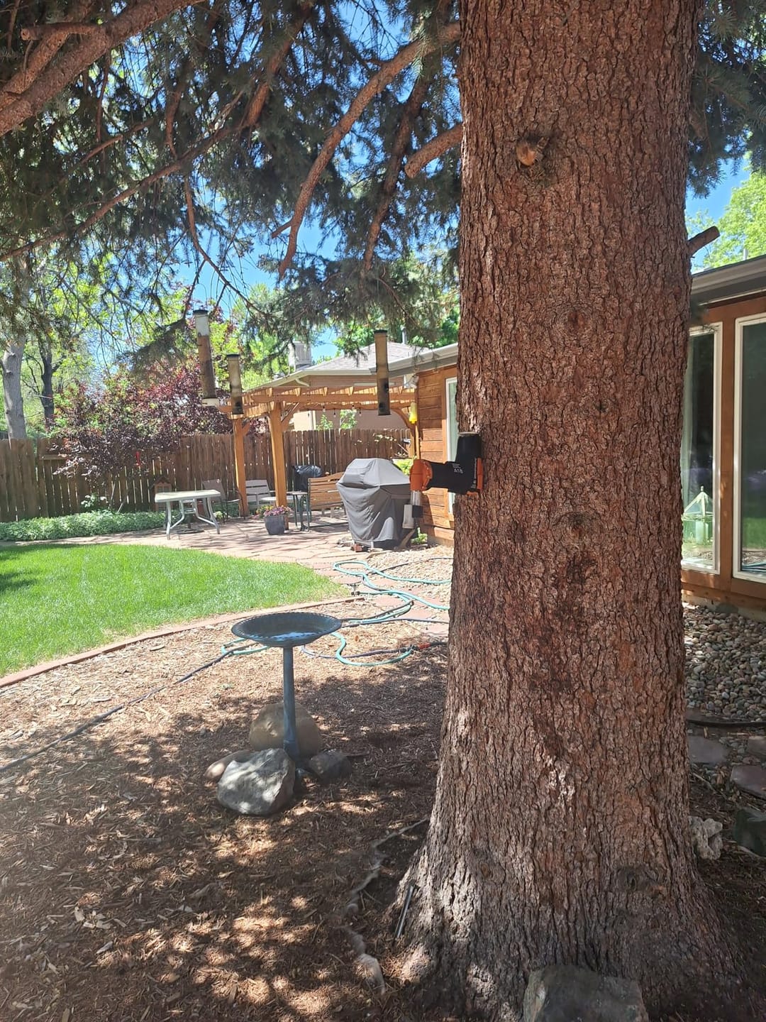Customer photo review of A18 Squirrel Trap Kit With Digital Strike Counter