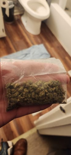 Customer photo review of Double D | THCA Flower Smalls