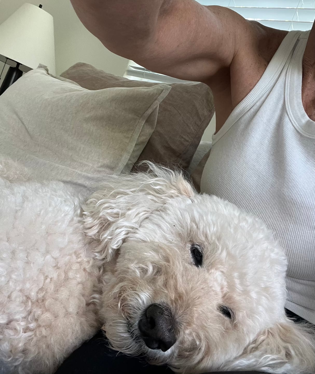 Customer photo review of Daily Support CBD Oil for Pets Over 20lbs