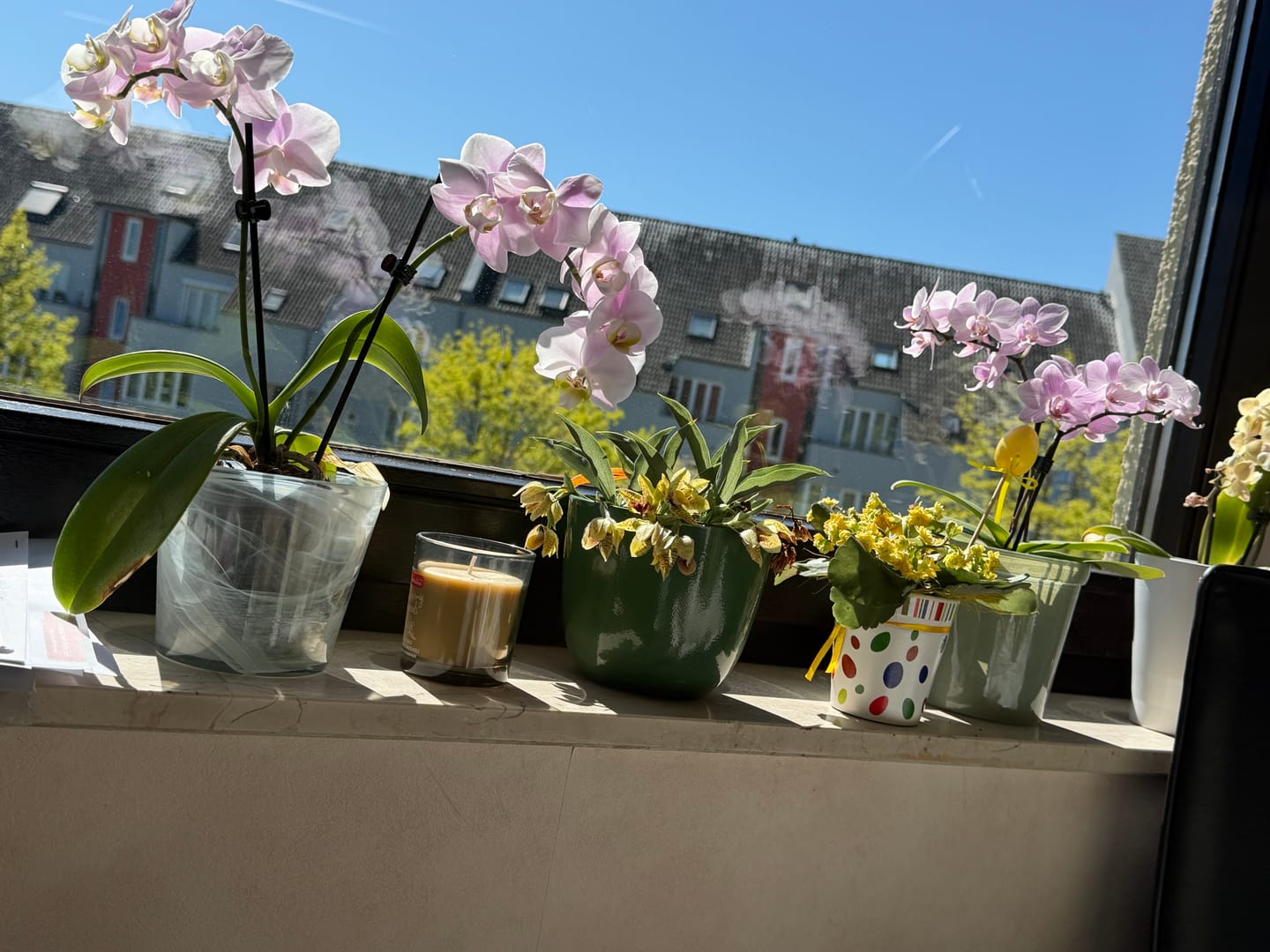 Customer photo review of Table Dance Angel Eyes mit hellrosa Blüten und 2 Rispen
