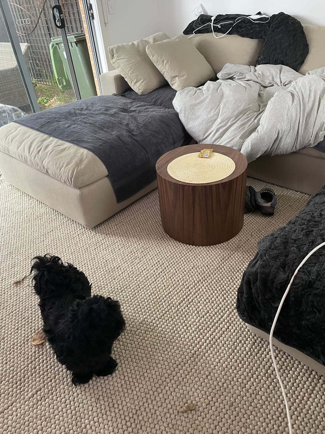 Customer photo review of Marley Wool Rug Beige