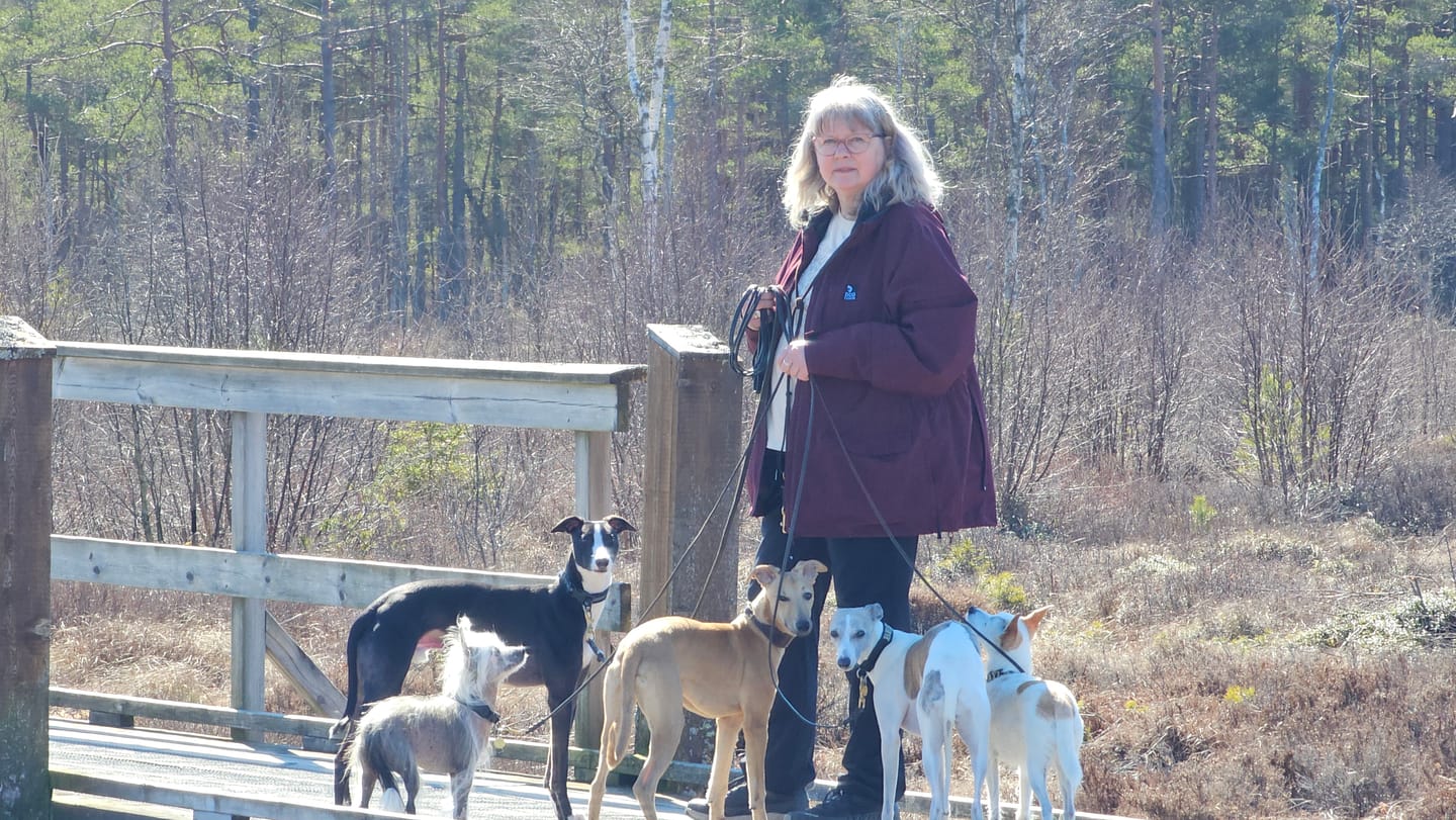 Customer photo review of Pack&Carry Shell Jacket 2.0 | Rosso | Merry
