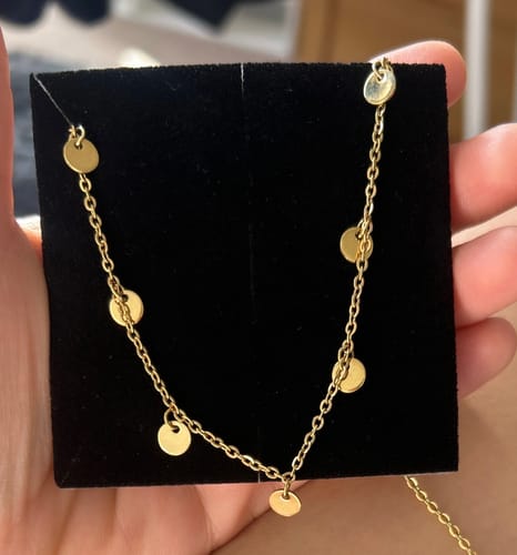 Customer photo review of Hi-Life Dangle Coin Kette